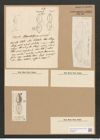 Dictyoneis marginata (Lewis) Cleve (de-Toni-Nr.: Genus 2, Species 839) Zeichnungen Sammlung Grunow Nr. 1666 (NHMW-BOT-W0368524)
